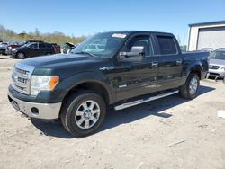 Salvage trucks for sale at Duryea, PA auction: 2013 Ford F150 Supercrew