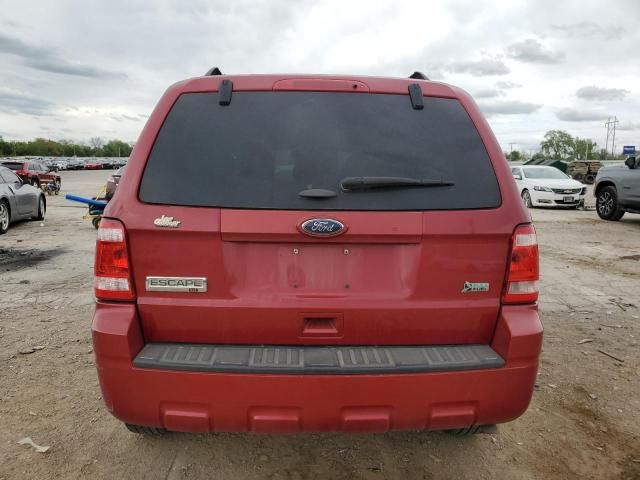 2011 Ford Escape XLT