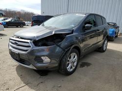 Salvage cars for sale from Copart Windsor, NJ: 2019 Ford Escape SE