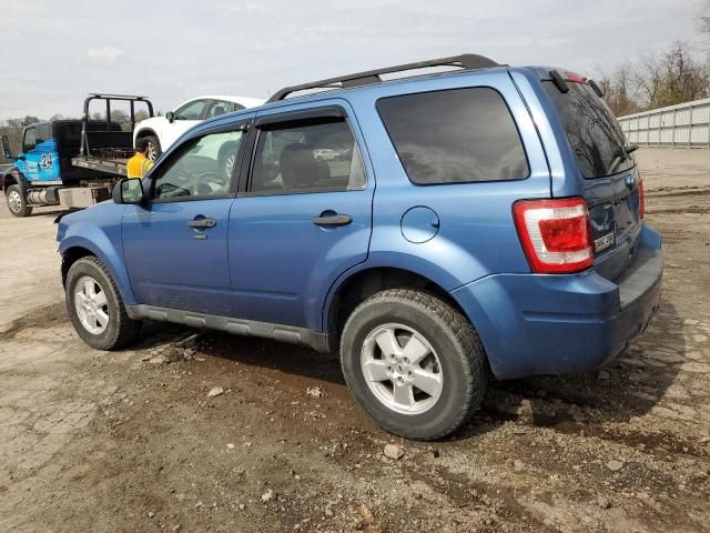 2010 Ford Escape XLT