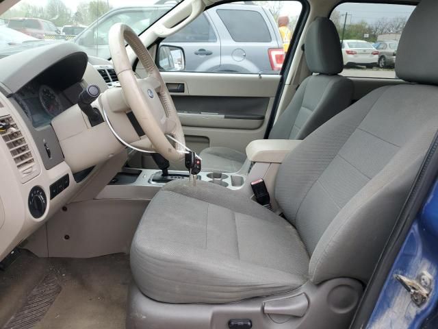 2009 Ford Escape XLT