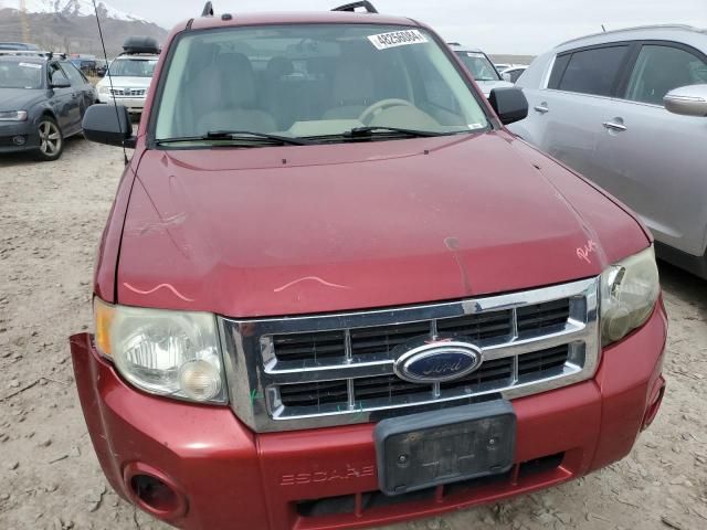 2008 Ford Escape XLT