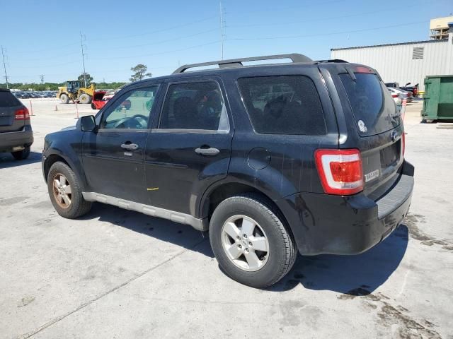 2009 Ford Escape XLT