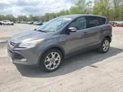 Salvage cars for sale from Copart Ellwood City, PA: 2013 Ford Escape SEL