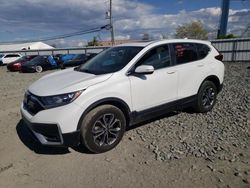 Vehiculos salvage en venta de Copart Windsor, NJ: 2020 Honda CR-V EXL