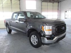 Salvage cars for sale from Copart Farr West, UT: 2023 Ford F150 Supercrew