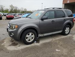Salvage cars for sale from Copart Fort Wayne, IN: 2010 Ford Escape XLT