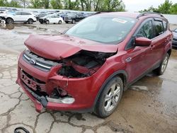 Salvage cars for sale at Bridgeton, MO auction: 2015 Ford Escape SE