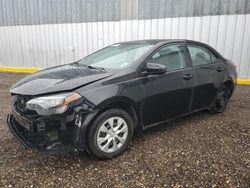 Salvage cars for sale from Copart Greenwell Springs, LA: 2019 Toyota Corolla L