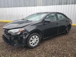 Salvage cars for sale at Greenwell Springs, LA auction: 2019 Toyota Corolla L