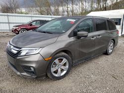 Salvage cars for sale at Hurricane, WV auction: 2018 Honda Odyssey EXL