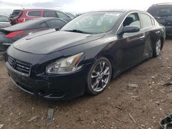 Salvage cars for sale at Elgin, IL auction: 2013 Nissan Maxima S