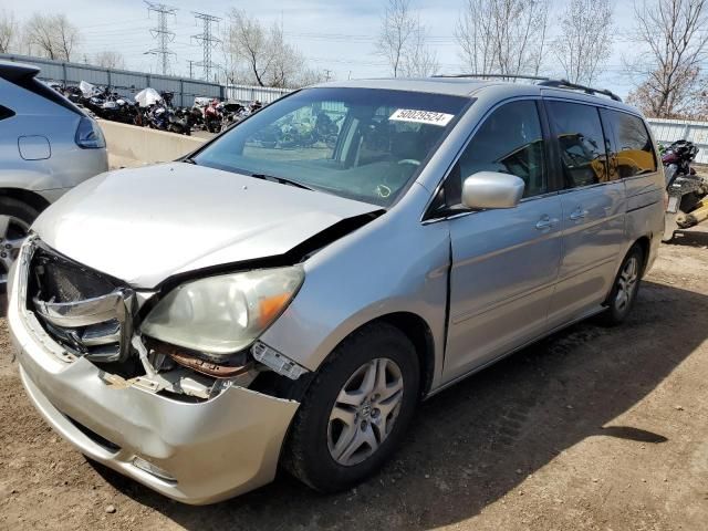 2005 Honda Odyssey EXL