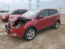 Salvage cars for sale at Elgin, IL auction: 2015 Ford Escape SE
