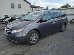 Salvage cars for sale at York Haven, PA auction: 2016 Honda Odyssey SE