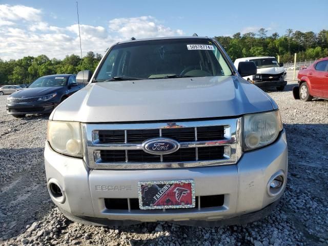 2010 Ford Escape XLT