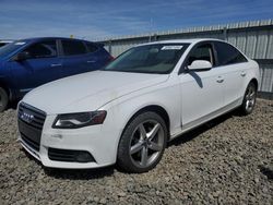 Salvage cars for sale from Copart Reno, NV: 2010 Audi A4 Premium Plus