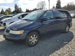 Honda salvage cars for sale: 2003 Honda Odyssey EXL