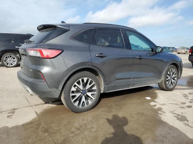 2020 Ford Escape SE Sport