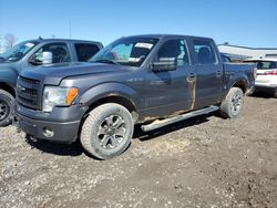 Salvage cars for sale at Central Square, NY auction: 2014 Ford F150 Supercrew