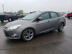 Salvage cars for sale at Ham Lake, MN auction: 2014 Ford Focus SE