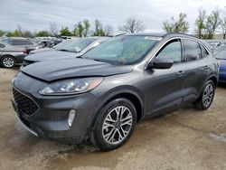 Salvage cars for sale at Bridgeton, MO auction: 2020 Ford Escape SEL
