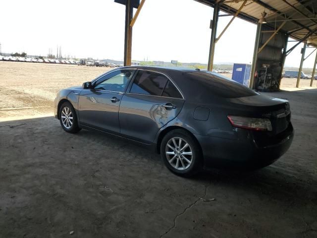 2010 Toyota Camry Hybrid