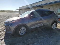 Chevrolet salvage cars for sale: 2023 Chevrolet Bolt EUV LT