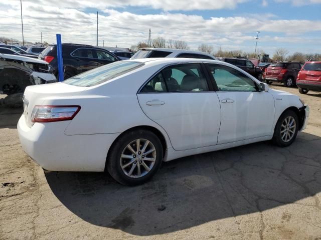 2010 Toyota Camry Hybrid