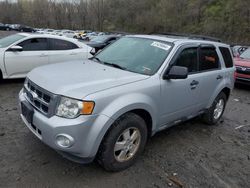 Salvage cars for sale at Marlboro, NY auction: 2012 Ford Escape XLT