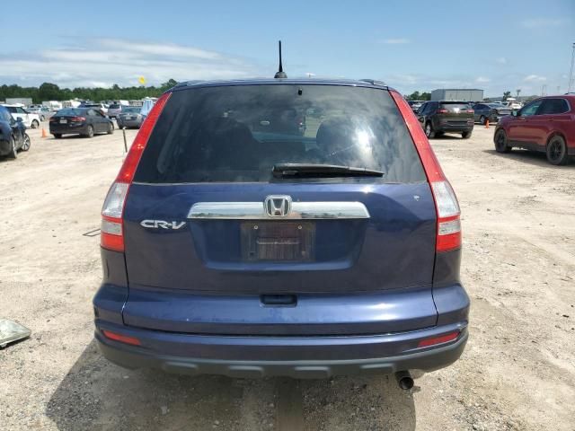 2010 Honda CR-V EXL