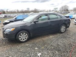 Salvage cars for sale from Copart Hillsborough, NJ: 2011 Toyota Camry Hybrid