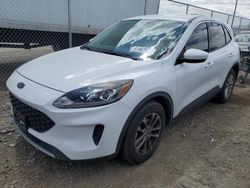 Salvage cars for sale at North Las Vegas, NV auction: 2021 Ford Escape SE