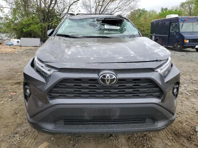 2023 Toyota Rav4 XLE Premium