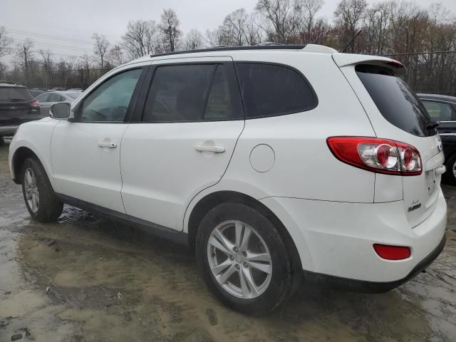 2010 Hyundai Santa FE SE