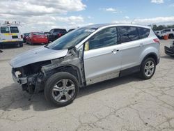 Salvage cars for sale at Indianapolis, IN auction: 2013 Ford Escape SE