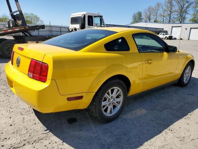 2005 Ford Mustang