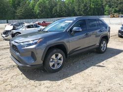 Salvage cars for sale at Gainesville, GA auction: 2023 Toyota Rav4 XLE