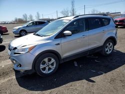 Salvage cars for sale from Copart Montreal Est, QC: 2014 Ford Escape SE