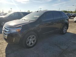 Salvage cars for sale at Indianapolis, IN auction: 2014 Ford Edge SEL