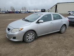 Salvage cars for sale from Copart Rocky View County, AB: 2009 Toyota Corolla Base