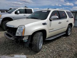 Salvage cars for sale at Reno, NV auction: 2008 Cadillac Escalade Luxury