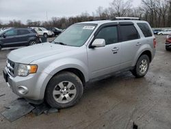 Salvage cars for sale from Copart Ellwood City, PA: 2012 Ford Escape Limited