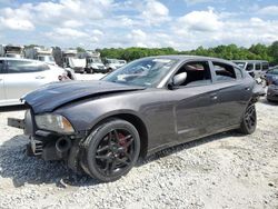 Dodge Charger SE salvage cars for sale: 2013 Dodge Charger SE