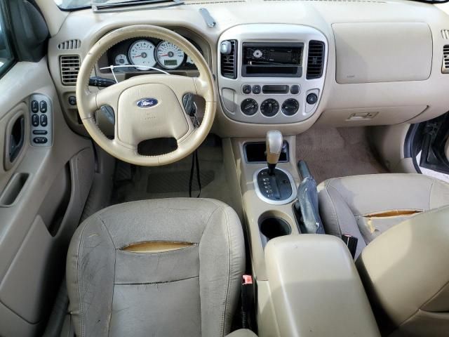 2006 Ford Escape XLT