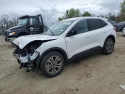 Salvage cars for sale at Baltimore, MD auction: 2022 Ford Escape SEL