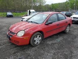 Dodge Neon salvage cars for sale: 2003 Dodge Neon SE