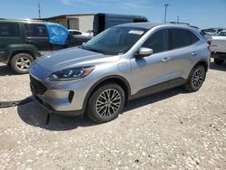 Ford salvage cars for sale: 2021 Ford Escape SE
