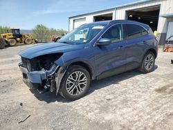 Salvage cars for sale at Chambersburg, PA auction: 2020 Ford Escape SEL