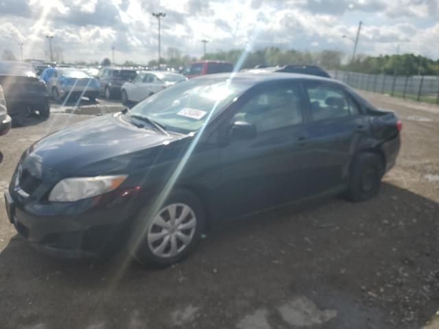 2009 Toyota Corolla Base